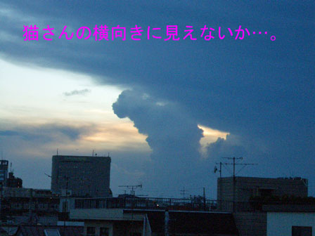 2010-07-22_猫横向き雲2863.jpg