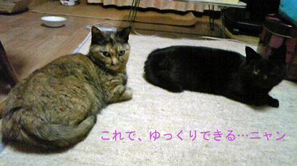 2012-03-14_miyan9762_edited.jpg