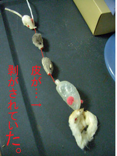 ネズミのおもちゃ４連10-08-1.jpg